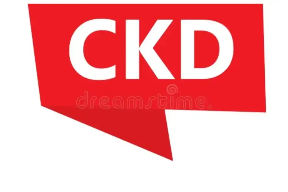 ckdvorscak